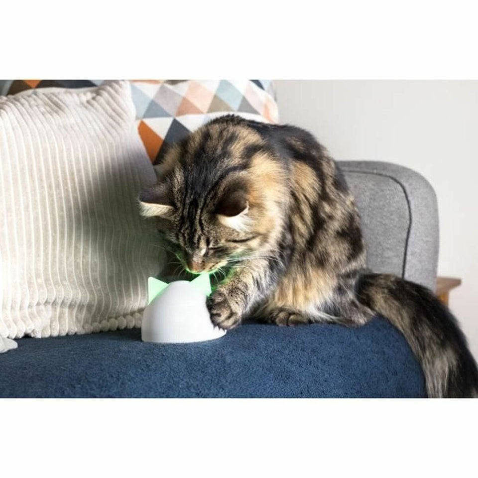 Multiroom Hub Craftenwood iHBWT-6