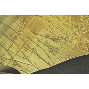 Canvas Home ESPRIT Black Golden 83 x 4 x 123 cm (2 Units)-3