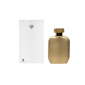 Caspian-4