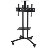 Presentation mobile stand-2